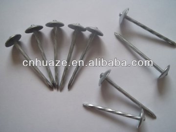 Galvanized Roofing Nails,roofing nails,nails