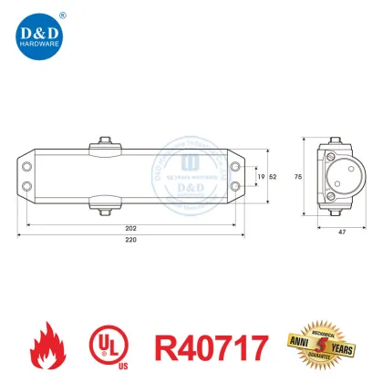 Parallel Arm Door Closer