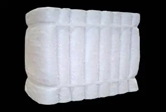 ceramic fiber module