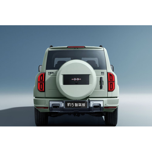 2025 Leopard 5 Tianshen Intelligence Drive Max Edition