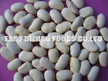 Round Shape White Kidney Bean