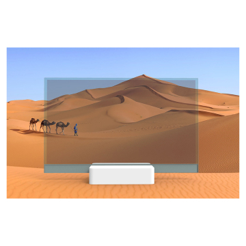 55 Inch Transparent OLED Display with Android/i5 OS for OEM ODM Digital Signage