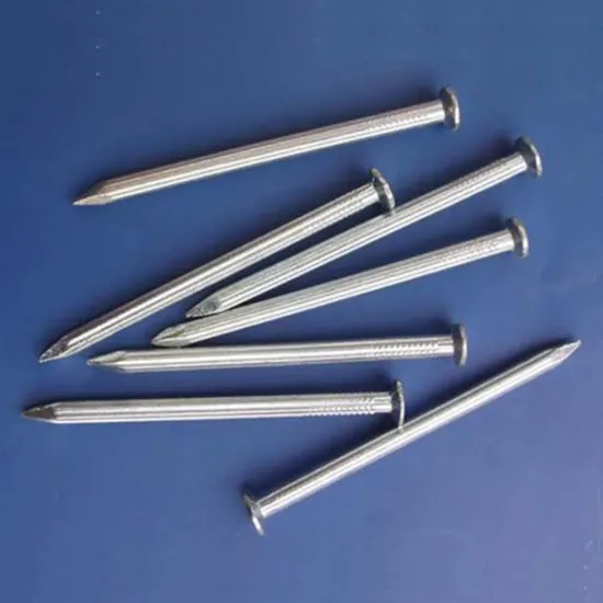 Polished Common Nails