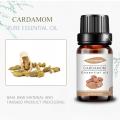 Óleo essencial para cardamomo natural para o corpo OEM/ODM saudável