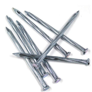 Galvanized Conccrete Steel  Nail