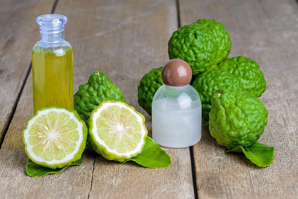 100% minyak esensial bergamot murni dan organik