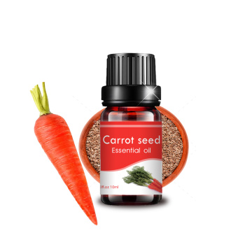 Étiquette privée de 10 ml en vrac en gros 100 huile de graines de carotte pure