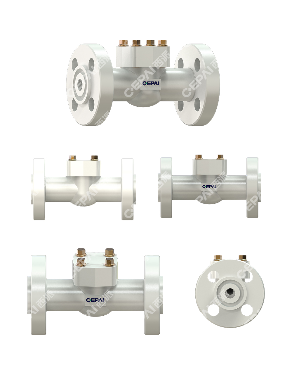 Casting Lift Check Valve011