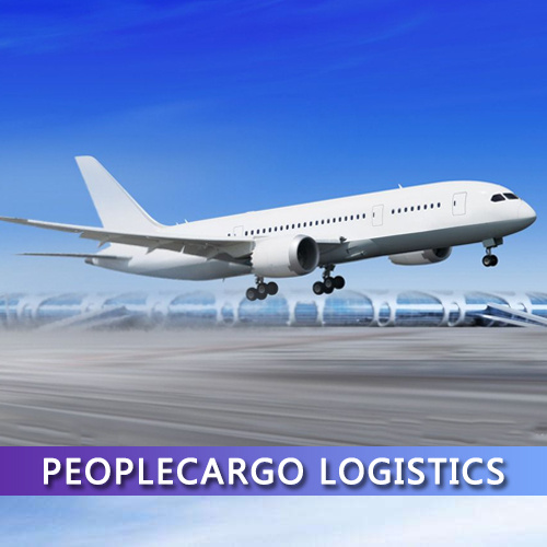 Door to door  Air freight/shipping/Amazon/freight forwarder to Middle East