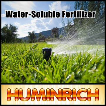 Huminrich High Grade Leonardite Soluble Agriculture Organic Fertilizer/Biofertilizer