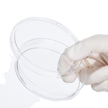 Disposable Round Shape Sterile Plastic Petri Dishes for Laboratory Cell Culture
