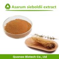 Asarum Sieboldii Extract Powder Herba Asari Extract 10:1