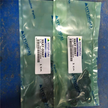 Kit di riparazione valvola pedale HYUNDAI R220LC-9S / R110-7 XKAY-00667