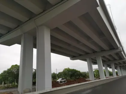 Chrome Spray Paint Fluorocarbon Sea Salt Spray Paint