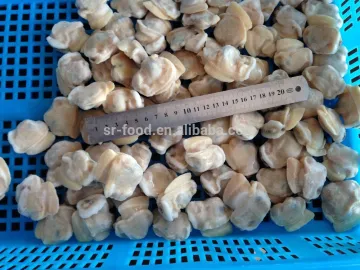 Sands off short necked clam meat