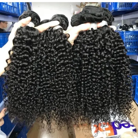 Mongolian Afro Kinky Curly Hair With Closure Curly Human Hair Bundles With Closure Sunlight Non Remy Hair 3 Bundles With Closure