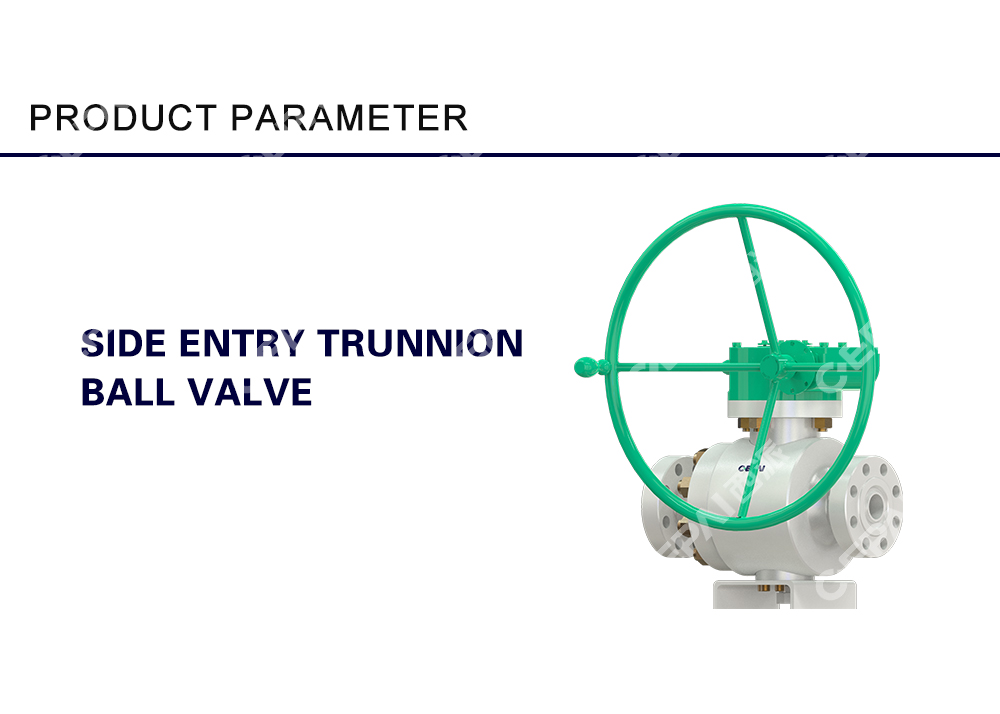 Side Entry Trunnion Ball Valve1-0