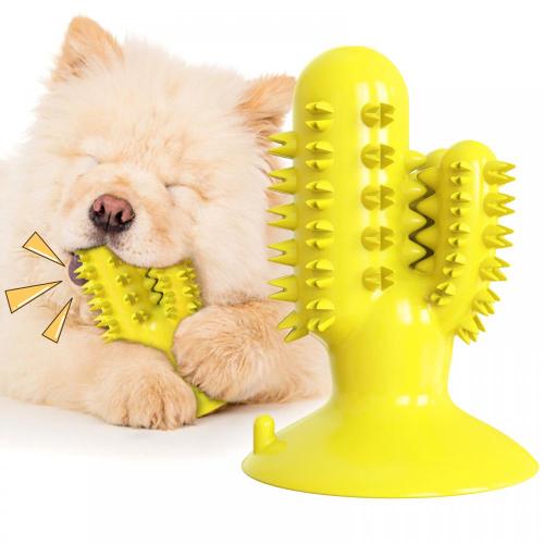 Cactus de voz para juguetes de limpieza de perros.