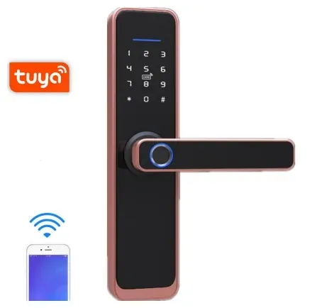 Smart WiFi Door Lock with Fingerprint & Password Access