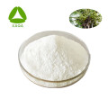 Pure Natural Coconut Fruit Extract Powder
