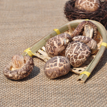 Cheap Dried White Flower Shiitake Mushroom