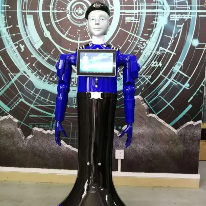 Intelligent Programmable Robot Manufacturing Companies: Factory Price Service Robots