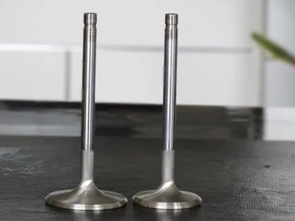 Racing Car Engines Racing Car Engine Valve