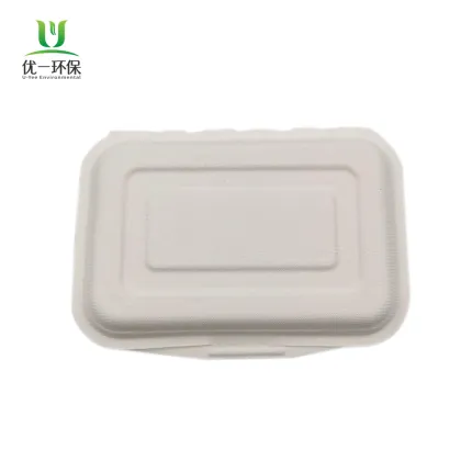 Bento Box Disposable Takeaway Eco Disposable Lunch Box