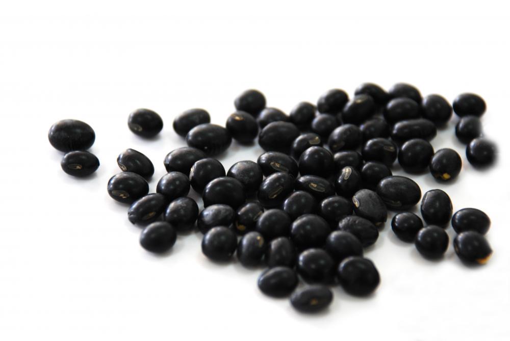 Black Bean Jpg