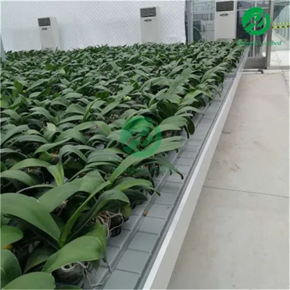 Indoor Hydroponic Vertical Farming System: 4x8 Tray Seeding Nursery Rack & Tidal Seedbed