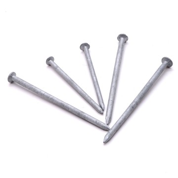 Hot Dipped Common Iron Nails: 10 Inches, 50kg Bag