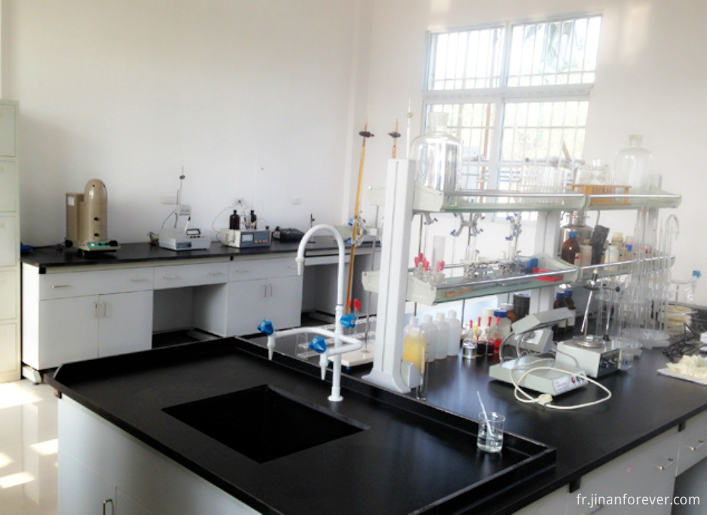 Hydrate d'hydrazine CAS 7803-57-8 10217-52-4 Hydrazine Hydrate CAS 7803-57-8 10217-52-4