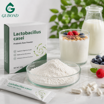 Lactobacillus Casei للمكملات الغذائية