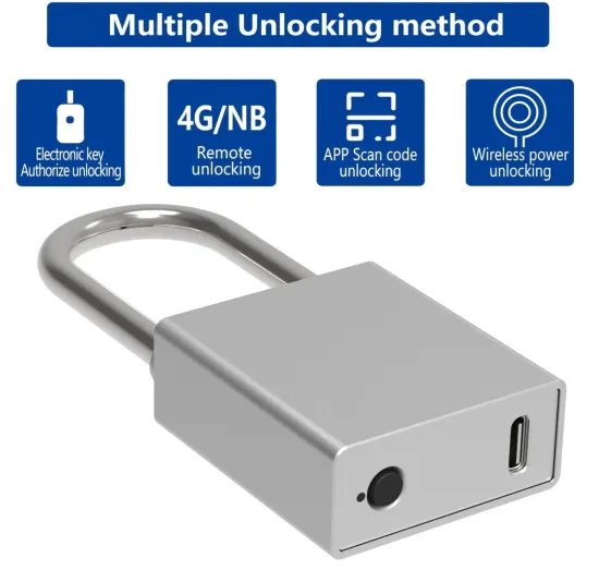 Electronic Intelligent Padlock for Box Transformer