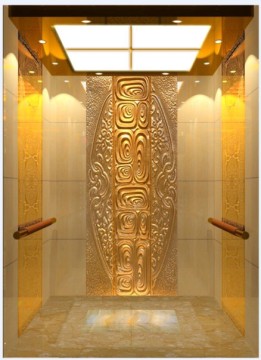 Passenger Elevator (UN-Victor)