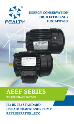 AEEF series motor