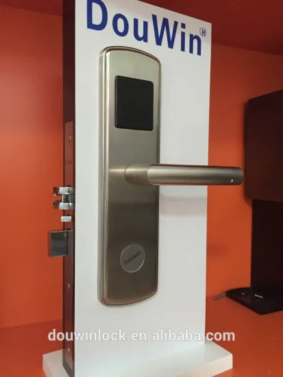 Douwin new arrival mortise stainless steel programmable door lock with cylinder