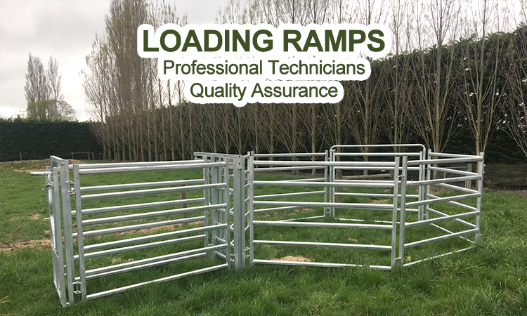 High Quality Adjustable Livestock Loading Ramp - 3.5m, High Quality ...