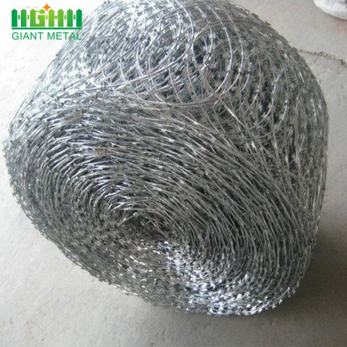 Free Samples Hot Dipped Galvanized Barbed Wire