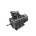 Motor CA trifásico à prova de chamas