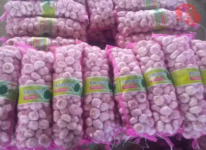 Fresh Grade A Garlic