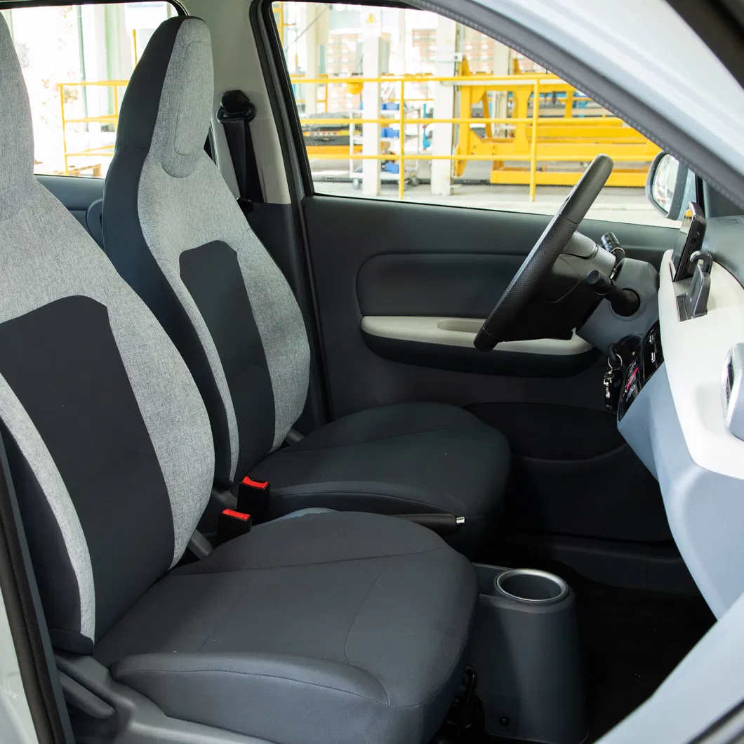 Chinese High Quality Electric Vehicle Electric Car