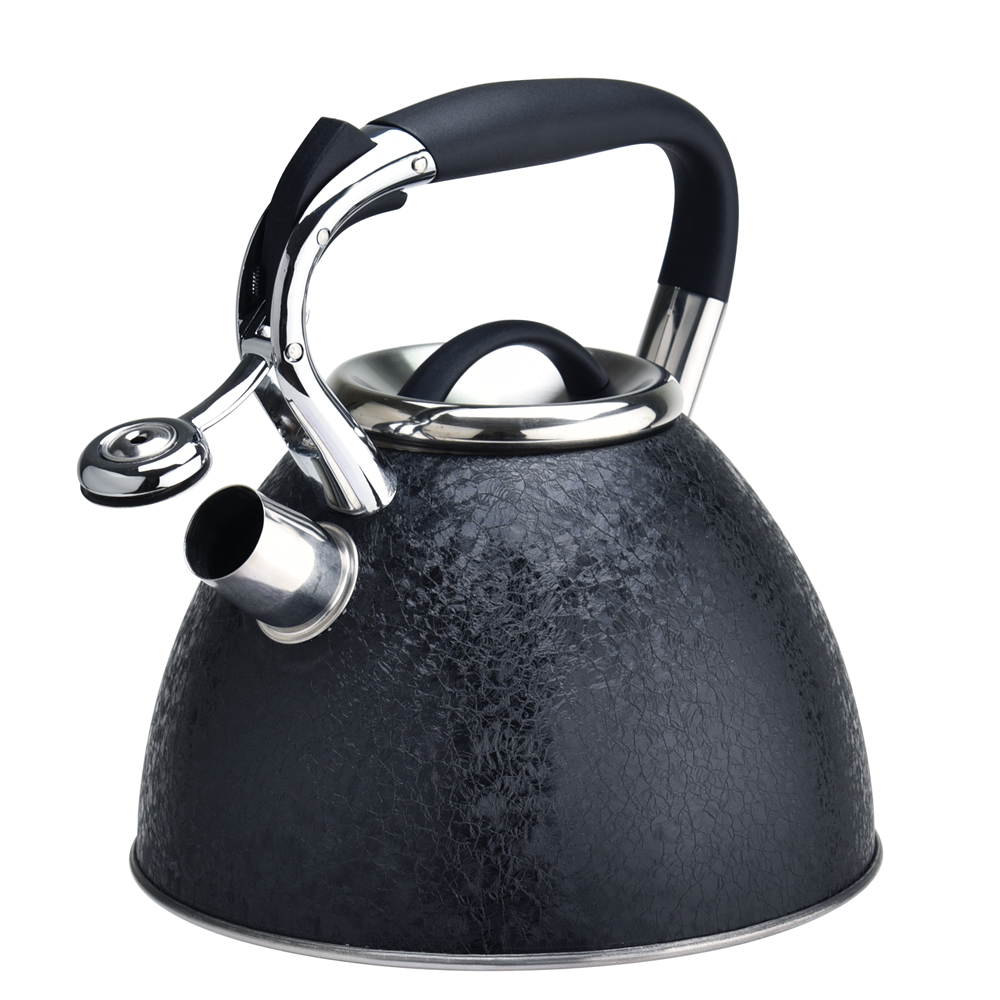 Stainless steel stovetop ice coating coffee tea kettle