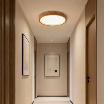 Energy Efficient LED Ceiling Lamp