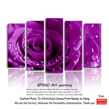 Stretched canvas modern flower art paintings