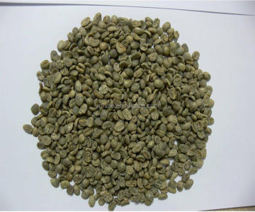 mesh 14 up yunnan green coffee beans