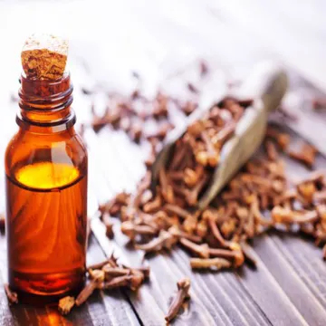 lowest price essential eugenol leaf clove oil