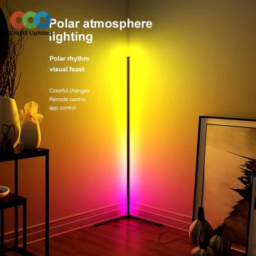 Chuse Modern Nordic LED Corner Lamp