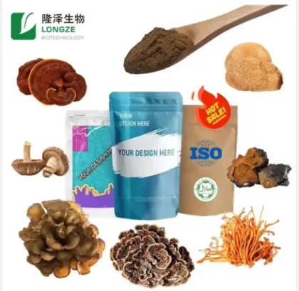 Mushroom Extract 100% Natural Mushroom Extract Powder