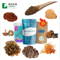 Lions Mane Supplement 10:1 Lion's Mane Powder